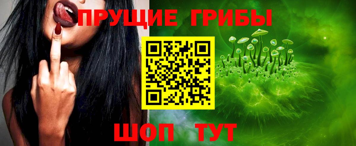 Псилоцибиновые грибы Psilocybine cubensis  Псилоцибиновые грибы ЛСД  Вход с VPN  Астрахань 